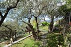  Bel Poggetto Golfo Paradiso - Garten
