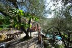  Bel Poggetto Golfo Paradiso - Garten