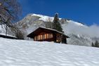 Ferienwohnung UB-12 Untere Bühlstrasse 12 Lenk im Simmental - Hauptansicht