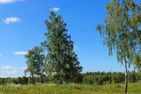  (5) Anglerhaus in Schweden am Zander See Stora Nätaren Smaland - 