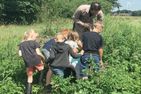  Haus Scheune - die Industrielle Dithmarschen - 