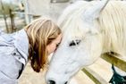  Messingbettappartement - das Nostalgische Dithmarschen - 