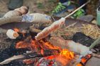  Messingbettappartement - das Nostalgische Dithmarschen - 