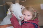  Rosenzimmer - klein aber fein Dithmarschen - 