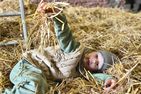  Rosenzimmer - klein aber fein Dithmarschen - 