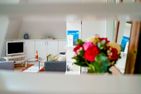  Seefeder Morsum - 