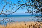  Ferienwohnung Deich und Meer in Stein Marina Wendtorf - Landschaft