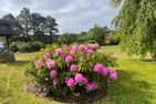  Bines Hues Nebel/Süddorf - 