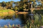  Bines Hues Nebel/Süddorf - 
