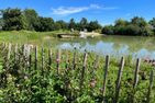  Campingstellplatz - Seeblick 1 Dithmarschen - 