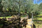  Casa Alexi Dolcedo - 