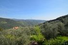  Casa Alexi Dolcedo - 