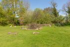  Ferienhof Wisch Wisch - 