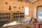  Malerhaus Schmallenberg - Hühnerstall Biohof Köhne