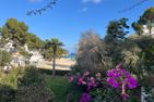  Playa d'Or 16 / Cala D'Or / Mallorca  - Strand