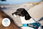  Amrumer Strandhaven Wittdün - 