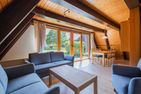 Ferienwohnpark Immenstaad am Bodensee Nurdachhaus (Typ 8) NDT 101 Bodensee - Living room