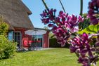 An den Boddenwiesen An den Boddenwiesen 01 Wieck auf dem Darß - Gartenblick