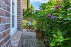  Bungalow Nici Westerland - Terrasse