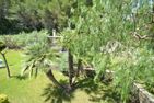  Villa Emilia Smeralda Imperia - 
