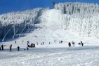  Harzhörnchen + Harzkind Braunlage - 
