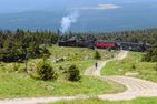  Harzhörnchen + Harzkind Braunlage - 