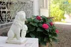  Villa Sanssouci Rügen - Binz - Dekoratives Detail
