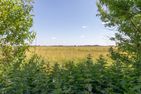  Deichkieker Nordstrand - 