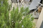 Lüneburger Heide Krümel Deutschland - 