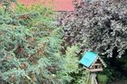 Ferienwohnungen Neef Wohnung Nr. 3 Ostfriesland - Garten