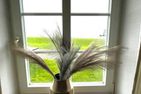  Hallig Hüs 1 Hallig - Langeneß - 