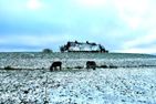  Hallig Hüs 1 Hallig - Langeneß - 