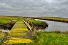  Hallig Hüs 1 Hallig - Langeneß - 