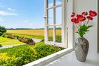  Hüs bi Koog 1 Morsum - Gartenblick