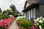 PUR Pur A4 Ostseebad Ahrenshoop - Fassade / Eingang