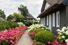 PUR Pur A5 Ostseebad Ahrenshoop - Fassade / Eingang