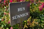  Hus Sünneck Wyk auf Föhr - Dekoratives Detail