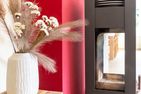  Prerowliebe Ostseebad Prerow - 