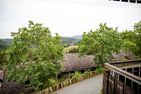  FeWo 238 Winterberg - Neuastenberg - 