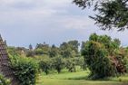 Ferienwohnpark Immenstaad am Bodensee Nurdachhaus (Typ 7) ND 03 Bodensee - Garden view