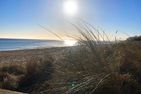 Haus im Breitenkamp Little Suite Dream Haffkrug Appartement 6 Haffkrug - Strand
