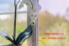 (14) Villa Kunterbunt am See in Schweden - 2 Häuser in einem Paket Smaland - Haupthaus: Fliegengitter in jedem Schlafzimmer