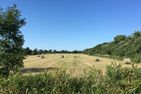  Klein Grönland Wyk auf Föhr - Landschaft