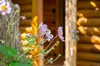  Eenhoorn Ostseebad Dierhagen - 