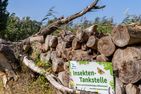  Eenhoorn Ostseebad Dierhagen - 