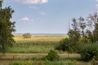  Eenhoorn Ostseebad Dierhagen - 