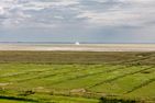 Residenz am Meer 24C Graugans Billstraße - Meerblick