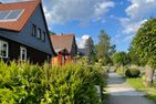  Serenity Harz Elend - 