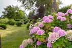 Haus am Hohen Ufer Haus am Hohen Ufer 02 Ostseebad Ahrenshoop - 