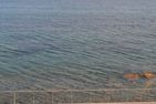  La Rabina Imperia - 